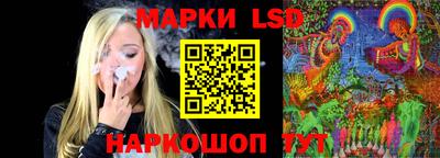 spice Гатчина
