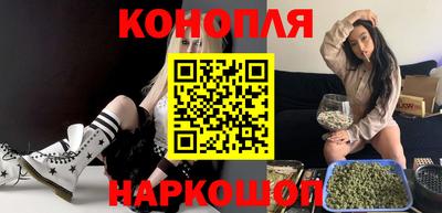 spice Гатчина