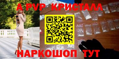 spice Гатчина